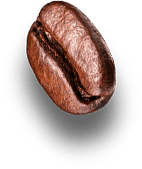 bean2
